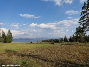 A view from my motorcycle in Yellowstone National Park, 8-2013