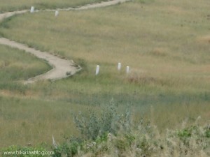 Grave Markers at Little Bighorn National Battlefield Monument