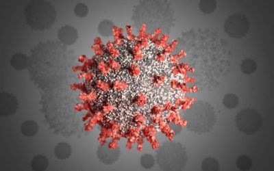 The coronavirus dilemma-continue to self isolate, or open her up?